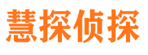 武城侦探公司